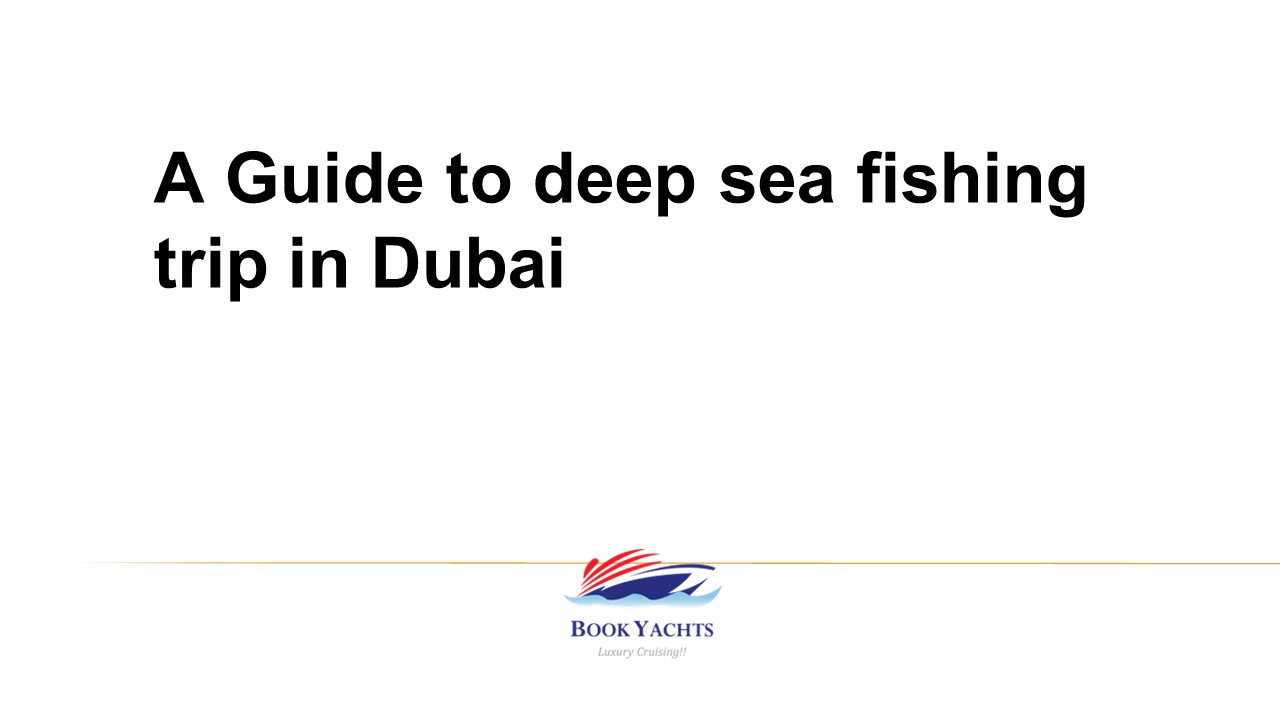 A Guide to Deep Sea Fishing Trip in Dubai