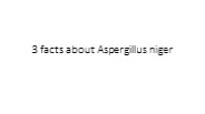 3 facts about Aspergillus niger