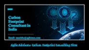 Agile Advisors: Carbon Footprint Consulting Firm