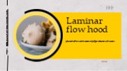 Laminar flow hood varieties