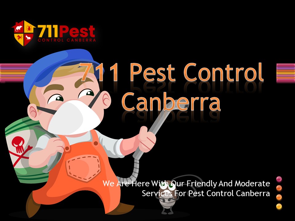 711 Pest Control Canberra ACT