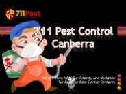 711 Pest Control Canberra ACT