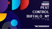 Buffalo Best Pest Control | Buffalopestcontrol.net