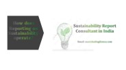How does Reporting on Sustainability operate?
