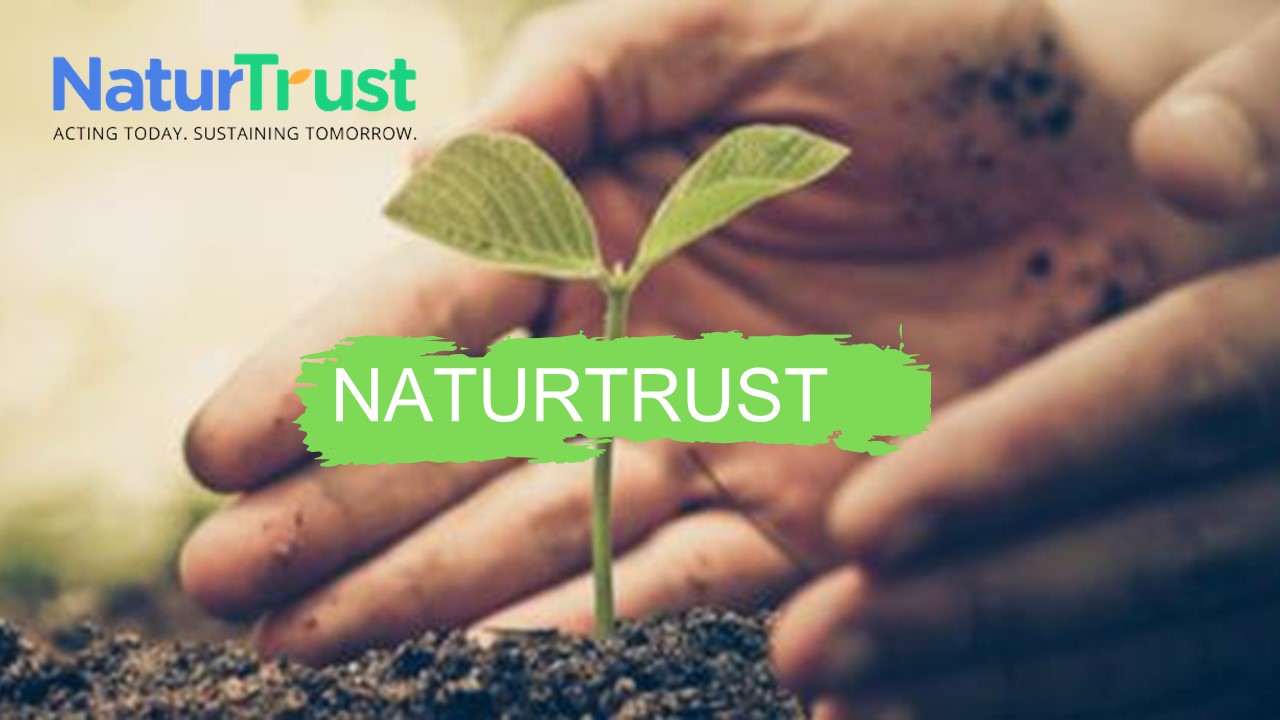 Buy Compostable Leaf Bags in US - Naturtrust