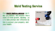 Mold Testing Service (1)
