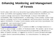 Forestry Camera System
