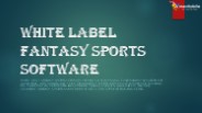 White label fantasy sports software
