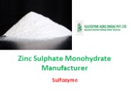 Zinc Sulphate Monohydrate Manufacturer