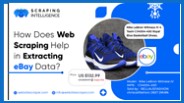 How Does Web Scraping Help In Extracting EBay Data?