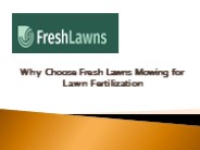 Why Choose Fresh Lawns Mowing for Lawn Fertilization