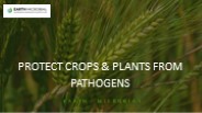 Protect crops & plants from pathogens | Earth Microbial
