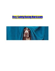 Dog Safety During Hurricanes