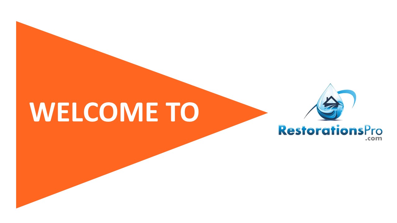 Mold Remediation Services in Madisonville