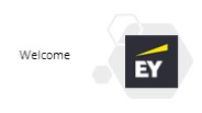 Third Party Risk Management Services | EY