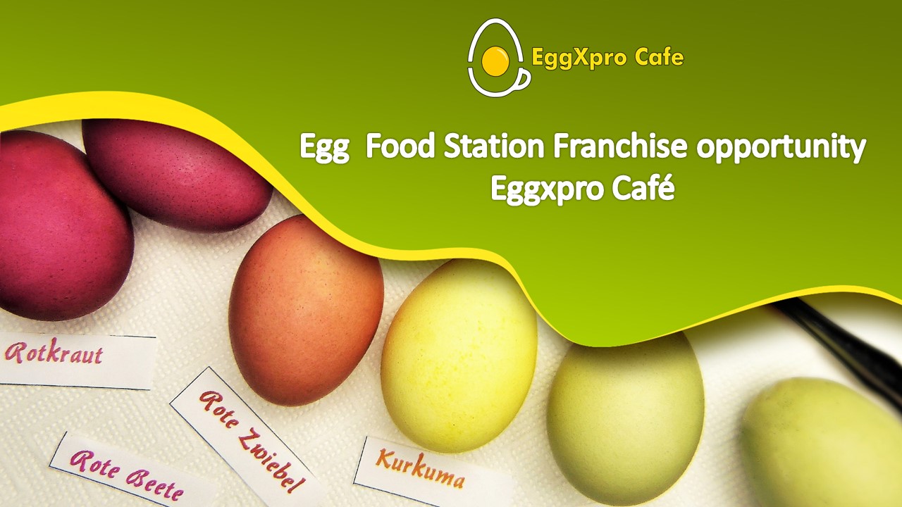 Egg  Food Station Franchise Opportunity - Eggxpro Cafe