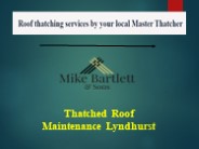 Thatched Roof Maintenance Lyndhurst
