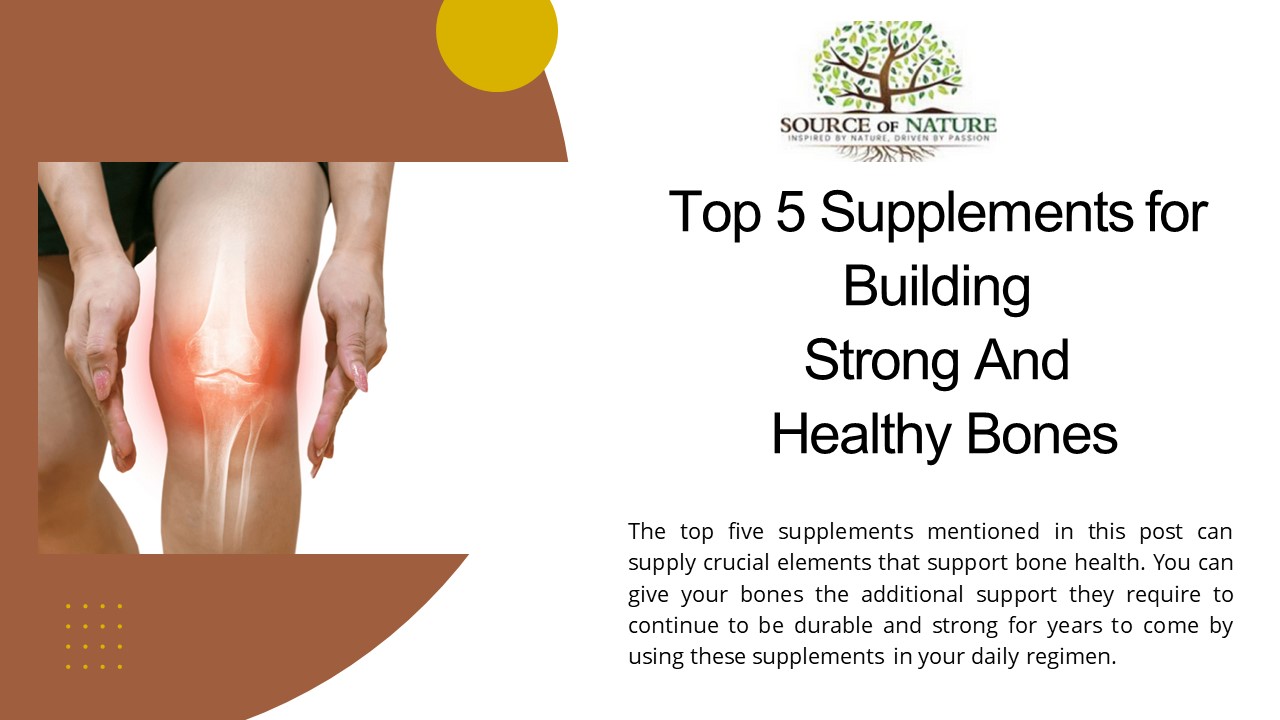 Top 5 Supplements for Building Strong And Healthy Bones