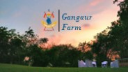 GanGaur Farm Overview
