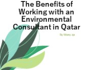 The Benefits of Working with an Environmental Consultant