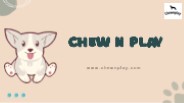 Dog Leash and Harness Set - Chew n Play