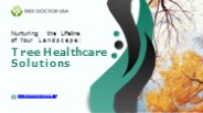 Nurturing the Lifeline of Your Landscape: Tree Healthcare Solutions