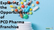 Exploring the Opportunities of PCD Pharma Franchise