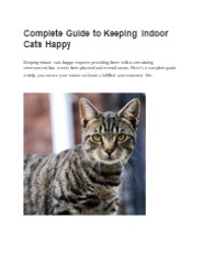 Complete Guide to Keeping Indoor Cats Happy