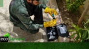 Termite Control Services Near By Me: