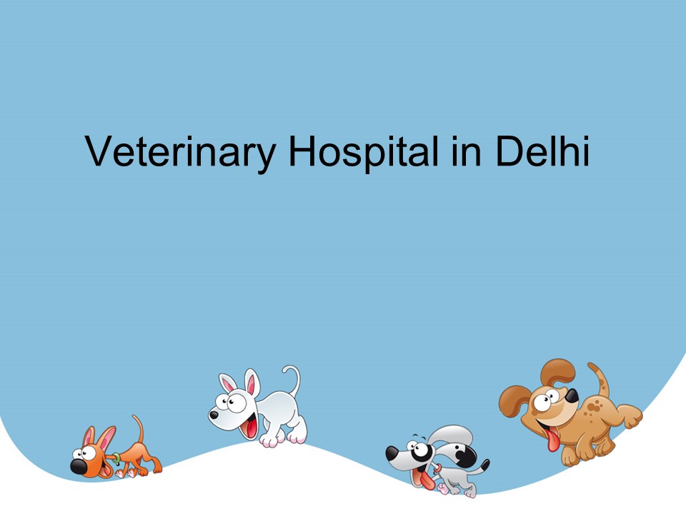 Veterinary Hospital in Delhi NCR