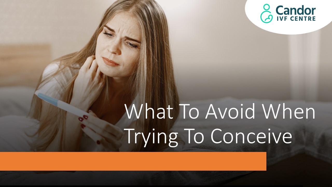 What To Avoid When Trying To Conceive