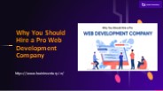Why You Should Hire a Pro Web Development Company
