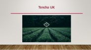 How Japanese Tea Enhance Immune System?