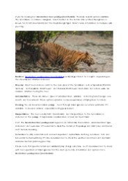 SUNDARBAN PACKAGE TOUR FROM KOLKATA