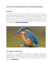 SUNDARBAN BIRDWATCHING TOUR