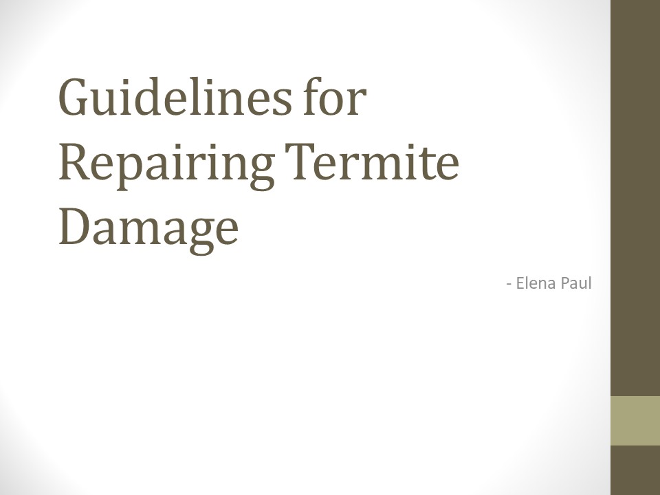 Guidelines for Repairing Termite Damage
