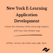 WELCOME TO THE NEWYORK-ELEARNING-NDIMENSION-LABS INFORMATION SECTION!