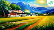 The importance of organic farming