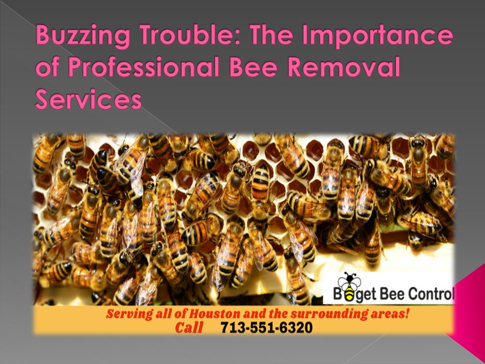 Buzzing Trouble: The Importance of Professional Bee Removal Services