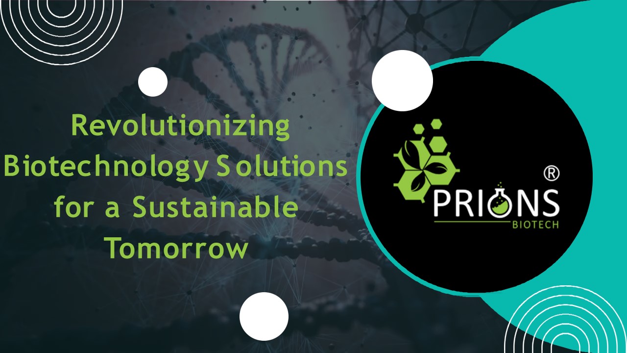 Revolutionizing Biotechnology Solutions for a Sustainable Tomorrow