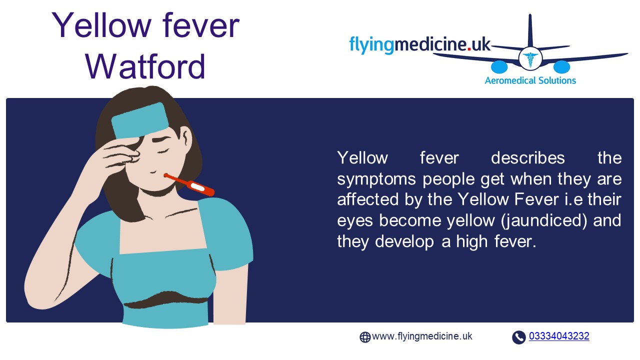Yellow fever in Watford
