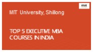 TOP 5 EXECUTIVE MBA COURSES IN INDIA