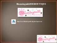 Toys for Small Dogs, bloomingtailsdogboutique