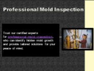 Professional Mold Inspection