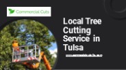 Local Tree Cutting Services in Tulsa