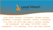 Professional SEO Services - Level Hitech Solutions