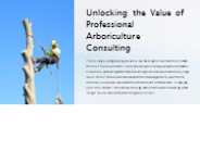 Unlocking the Value of Professional Arboriculture Consulting