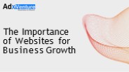 why websites is important