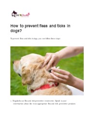 How to prevent fleas and ticks in dogs?