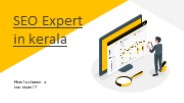 seo expert